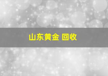 山东黄金 回收